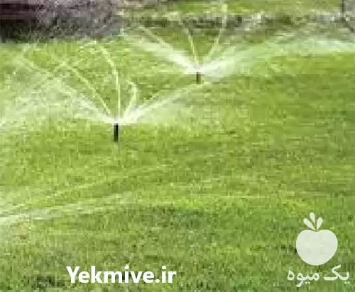 فروش اجرای آبیاری هوشمند در ساری در گروه خرید و فروش دستگاه آبیاری در یکمیوه -عکس1