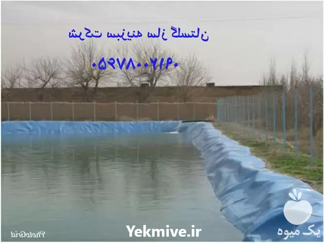 قیمت خرید ساخت استخرهای کشاورزی در گرگان در گروه خرید و فروش استخر کشاورزی در یکمیوه -عکس1