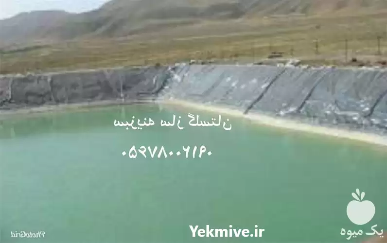 قیمت خرید احداث استخر ذخیره آب در گرگان در گروه خرید و فروش ژئوممبران و ژئوتکستایل در یکمیوه -عکس1