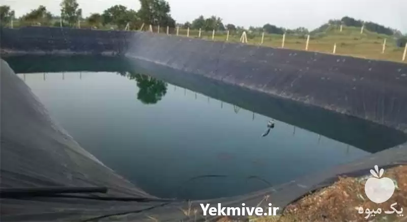قیمت خرید استخر ژئوممبران در شیراز در گروه خرید و فروش ژئوممبران و ژئوتکستایل در یکمیوه -عکس1