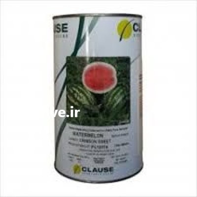 بذر هندوانه منارا __ نانهمز در گروه خرید و فروش بذر هندوانه در یکمیوه -عکس1