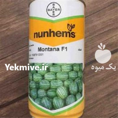بذر هندوانه مونتانا در گروه خرید و فروش بذر هندوانه در یکمیوه -عکس1