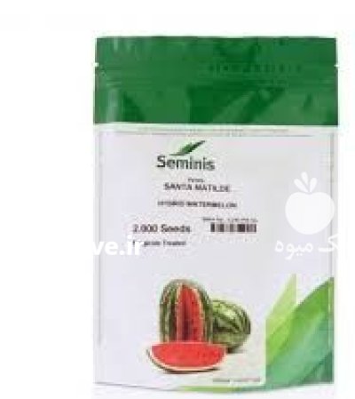 بذر هندوانه مونتانا نانهمز در گروه خرید و فروش بذر هندوانه در یکمیوه -عکس1