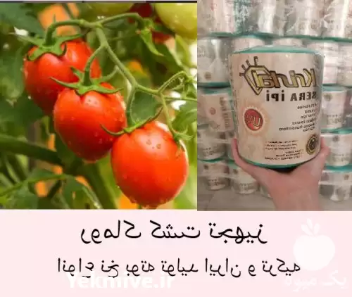 قیمت خرید نخ بوته گلخانه در گروه خرید و فروش تجهیزات گلخانه در یکمیوه -عکس1