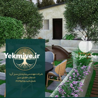 هرس درختان در تهران در گروه هرس کاری در یکمیوه -عکس1