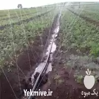 طراحی اجرای آبیاری هوشمند در ساری در گروه خرید و فروش اتصالات و تجهیزات آبیاری در یکمیوه