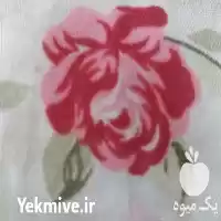 قیمت خرید راه اندازی سیستم ابیاری در دماوند در گروه خرید و فروش دستگاه آبیاری در یکمیوه