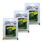 بذر هندوانه آناناسی گلدن کریس در گروه خرید و فروش بذر هندوانه در یکمیوه