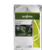 بذر هندوانه شوگر بیبی در شهرکرد در گروه خرید و فروش بذر هندوانه در یکمیوه