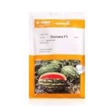 بذر هندوانه دومارا نانهمز در اردل در گروه خرید و فروش بذر هندوانه در یکمیوه