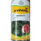 بذر هندوانه منارا در بستک در گروه خرید و فروش بذر هندوانه در یکمیوه