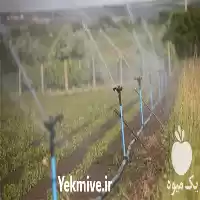 اجرای سیستم آبیاری کنترل از راه در ساری در گروه خرید و فروش اتصالات و تجهیزات آبیاری در یکمیوه