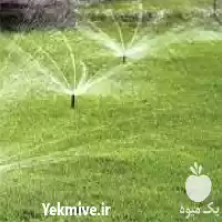 فروش اجرای آبیاری هوشمند در ساری در گروه خرید و فروش دستگاه آبیاری در یکمیوه