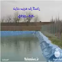 قیمت خرید ساخت استخرهای کشاورزی در گرگان در گروه خرید و فروش استخر کشاورزی در یکمیوه