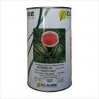 بذر هندوانه منارا __ نانهمز در گروه خرید و فروش بذر هندوانه در یکمیوه