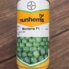 بذر هندوانه مونتانا در گروه خرید و فروش بذر هندوانه در یکمیوه