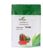 بذر هندوانه مونتانا نانهمز در گروه خرید و فروش بذر هندوانه در یکمیوه