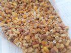 ذرت ذرت روس در قزوین در گروه خرید و فروش ذرت در یکمیوه