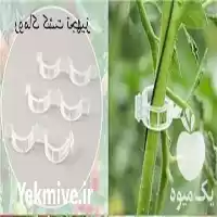 فروش بست بوته گلخانه در تهران در گروه خرید و فروش تجهیزات گلخانه در یکمیوه