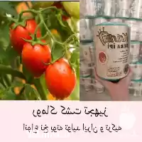 قیمت خرید نخ بوته گلخانه در گروه خرید و فروش تجهیزات گلخانه در یکمیوه