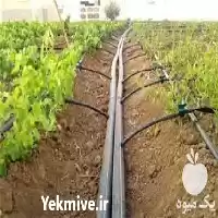 آبیاری قطره ای اتوماتیک در ساری در گروه خرید و فروش اتصالات و تجهیزات آبیاری در یکمیوه