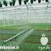 مجری آبیاری قطره ای بارانی هوشمند در ساری در گروه خرید و فروش انواع تجهیزات آبیاری در یکمیوه