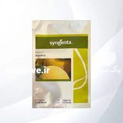 بذر خربزه ملون بشرا در بوشهر در گروه خرید و فروش بذر خربزه در یکمیوه -عکس1