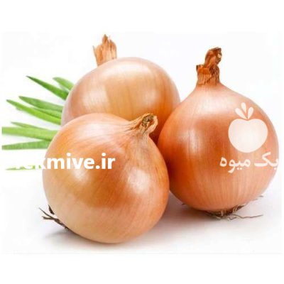 بذر پیاز زرد گالیسیا اینفینیتی سیدز در مشراگه در گروه خرید و فروش بذر پیاز در یکمیوه -عکس1