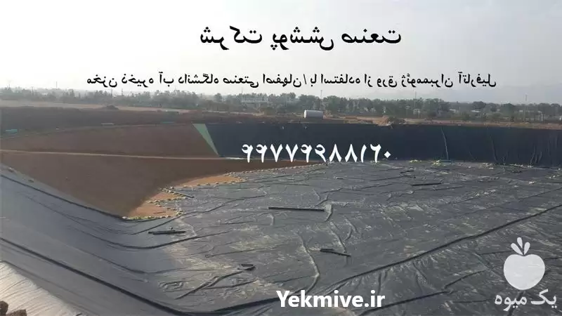 قیمت خرید احداث استخر کشاورزی در گروه خرید و فروش استخر کشاورزی در یکمیوه -عکس1