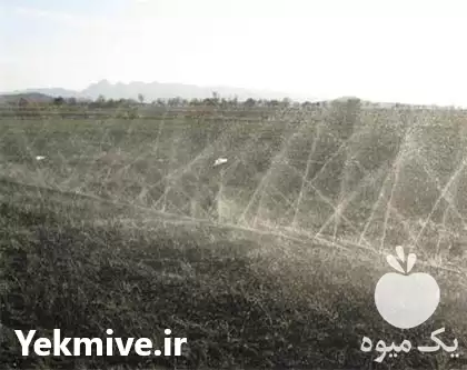 تجهیزات آبیاری قطره کنترلر هانتر در ساری در گروه خرید و فروش انواع تجهیزات آبیاری در یکمیوه -عکس1