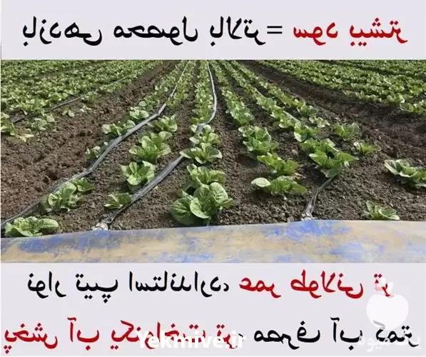 فروش قیمت نوار تیپ در تبریز در گروه خرید و فروش نوار تیپ در یکمیوه -عکس1