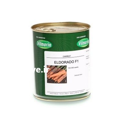 بذر هویج ا لدورادو ELDORADO F 1 در شوقان در گروه خرید و فروش بذر هویج در یکمیوه -عکس1