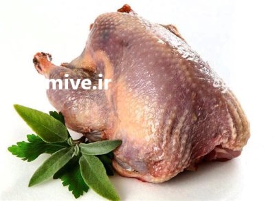 دستگاه پرکن در اهواز در گروه تجهیزات مرغداری در یکمیوه -عکس1
