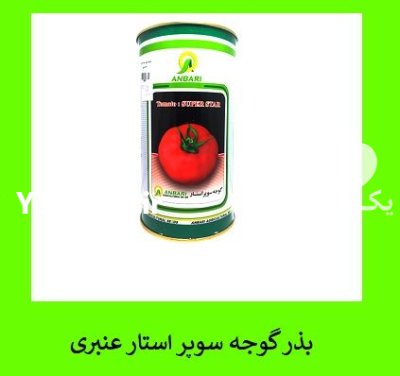 فروش بذر گوجه سوپر استار عنبری در گروه خرید و فروش بذر گوجه در یکمیوه -عکس1