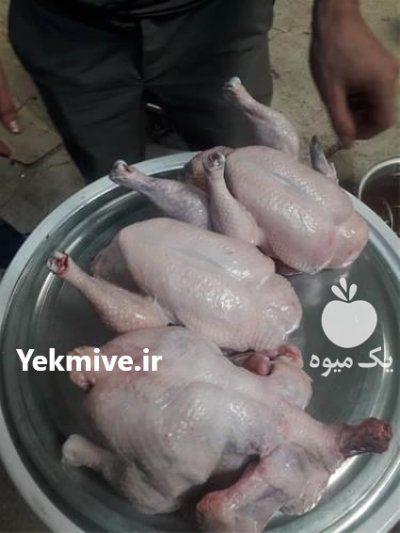 پرکن مرغ شرکت کیافارم در ساری در گروه تجهیزات مرغداری در یکمیوه -عکس1