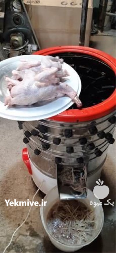 پرکن مرغ شرکت کیافارم در ساری در گروه تجهیزات مرغداری در یکمیوه -عکس2