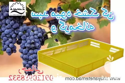 فروش سبد میوه خشک کن در شیراز در گروه خشک کن در یکمیوه -عکس1