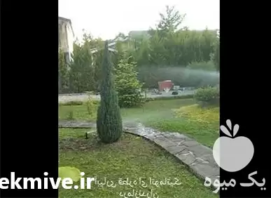 آبیاری قطره ای و بارانی هوشمند در گروه سازنده در یکمیوه -عکس1