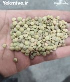 عدس محلی تازه در بجنورد در گروه خرید و فروش غلات و حبوبات در یکمیوه