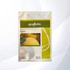 بذر خربزه ملون بشرا در بوشهر در گروه خرید و فروش بذر خربزه در یکمیوه