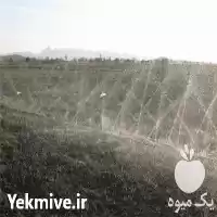 تجهیزات آبیاری قطره کنترلر هانتر در ساری در گروه خرید و فروش انواع تجهیزات آبیاری در یکمیوه
