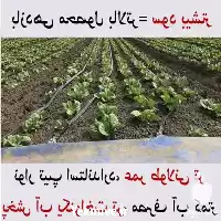 فروش قیمت نوار تیپ در تبریز در گروه خرید و فروش نوار تیپ در یکمیوه