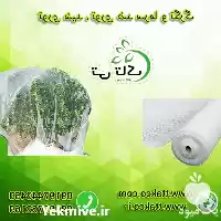 فروش توری ضد سرما در تهران در گروه خرید و فروش توری گلخانه در یکمیوه
