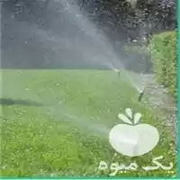 اجرا و تأمین لوازم سیستم در گروه سازنده در یکمیوه