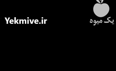نهال صنوبر کاشت کبوده سفید لوله ای در سنقر در گروه خرید و فروش نهالستان در یکمیوه -عکس3