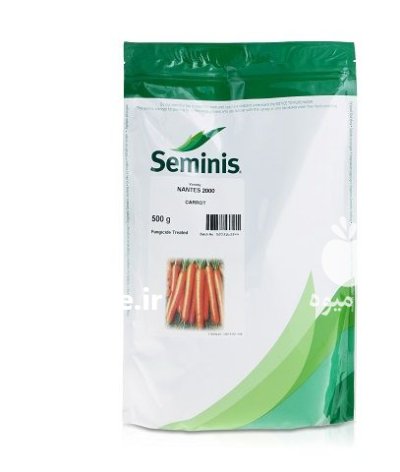 فروش بذر هویج نانتس 2000 در کلاته خیج در گروه خرید و فروش بذر هویج در یکمیوه -عکس1