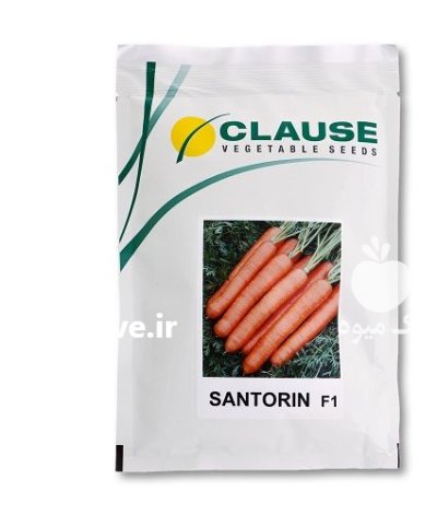 بذر هویج سنتورین کلوز در زنجان در گروه خرید و فروش بذر هویج در یکمیوه -عکس1