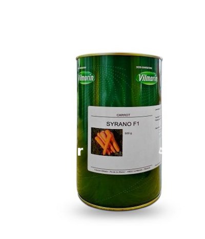 فروش بذر هویج سیرانو در ساری در گروه خرید و فروش بذر هویج در یکمیوه -عکس1