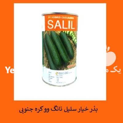 فروش بذر خیار سلیل نانگ و و در اهواز در گروه خرید و فروش بذر خیار در یکمیوه -عکس1