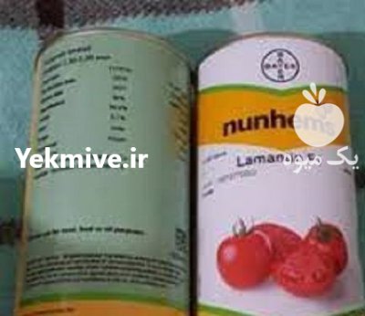 بذر گوجه لمنتین اصل در کلاته خیج در گروه خرید و فروش بذر گوجه در یکمیوه -عکس1